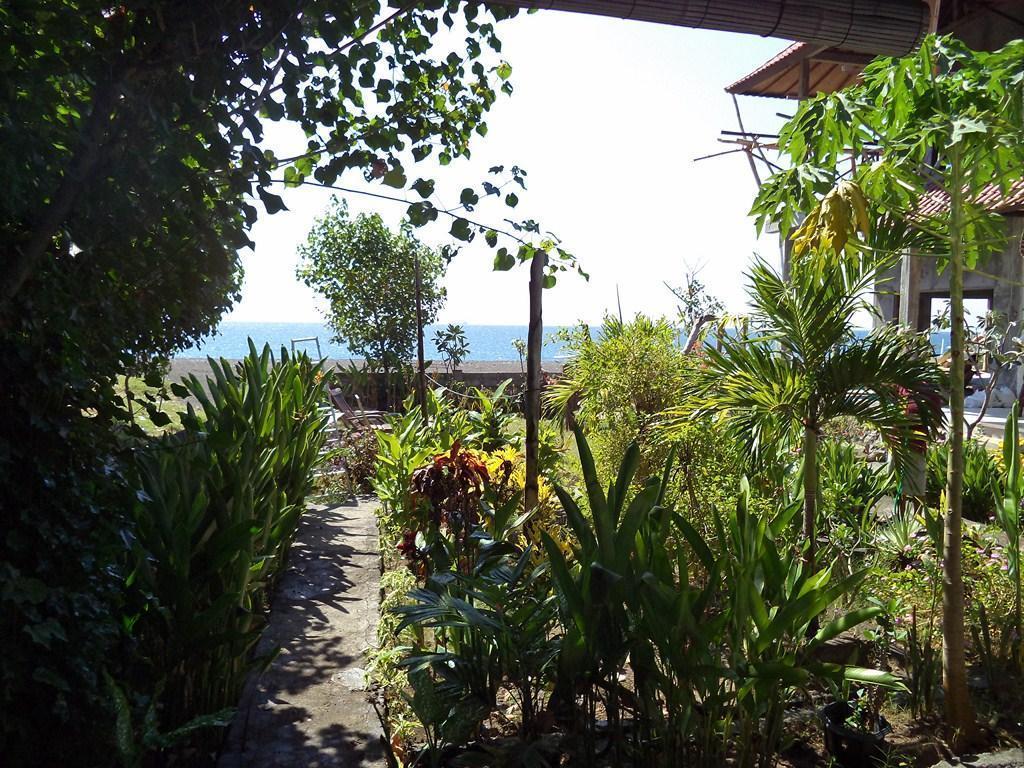 Kadek Homestay アメッド エクステリア 写真